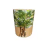 Vaso decorativo con piante stilizzate - foto 1